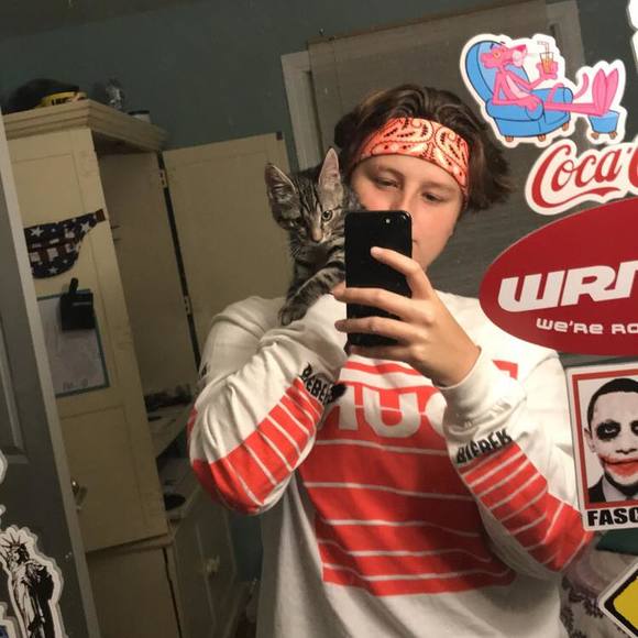 Meet your Posher, Zoey - Picture 1 of 1